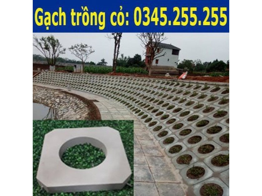 Gạch bê tông trồng cỏ ốp mái taluy 400x400x50mm
