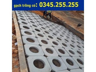 Gạch bê tông trồng cỏ ốp mái taluy