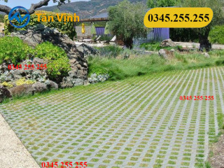 Gạch Trồng Cỏ - Gạch Ốp Mái Taluy