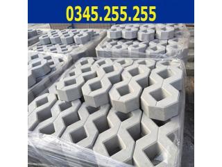 Gạch trồng cỏ số 8