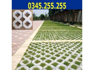 Gạch trồng cỏ số 8