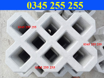 Gạch Bê Tông Trồng Cỏ 8 Lỗ