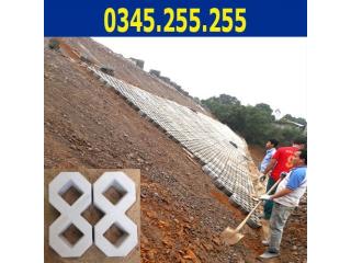 Gạch bê tông trồng cỏ số 8