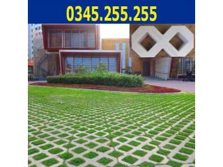 Gạch bê tông trồng cỏ số 8