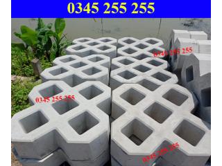 Gạch Bê Tông Trồng Cỏ 5 Lỗ