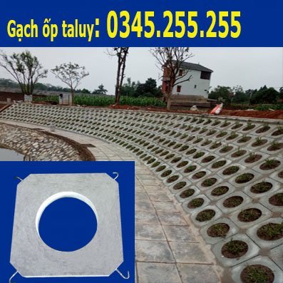 Gạch trồng cỏ lát mái taluy ở Nghệ An, Hà Tĩnh, Thanh Hóa